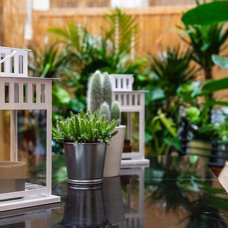 Puccinotti House Lägenhet Florens Exteriör bild