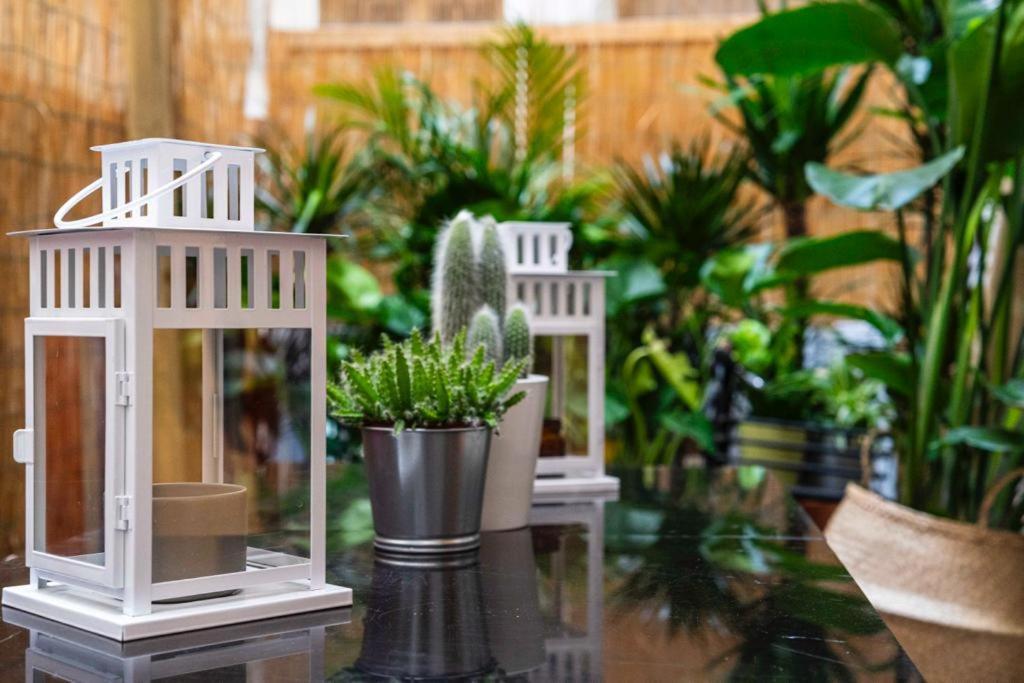 Puccinotti House Lägenhet Florens Exteriör bild