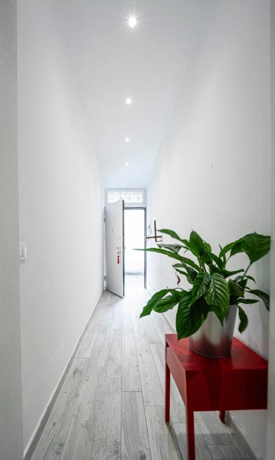 Puccinotti House Lägenhet Florens Exteriör bild