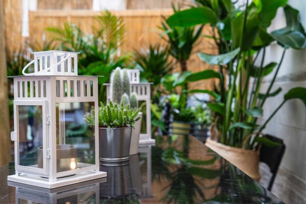 Puccinotti House Lägenhet Florens Exteriör bild