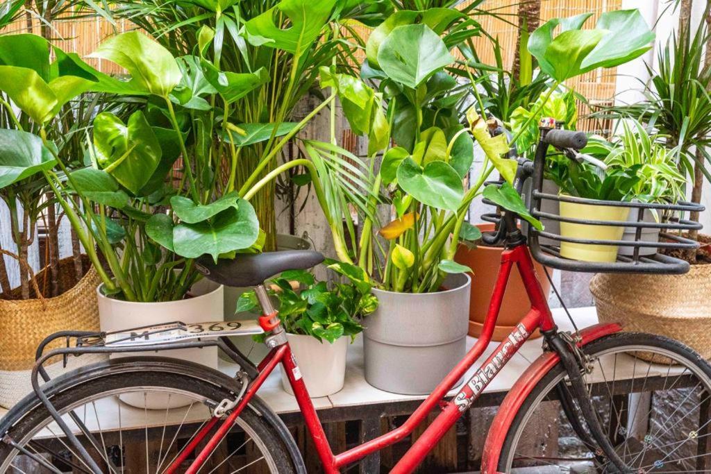 Puccinotti House Lägenhet Florens Exteriör bild